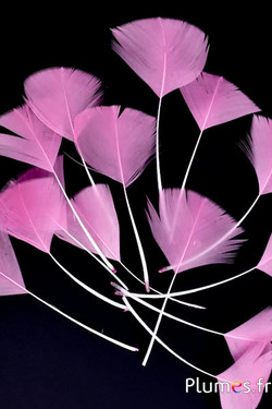 Petali in piume - 6-8 cm x 3-4 cm - rosa vecchia